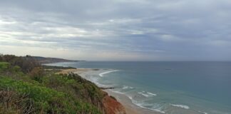 Rubrique. Au fil des voyages : Une visite guidée en Australie dérape Great Ocean Road avis