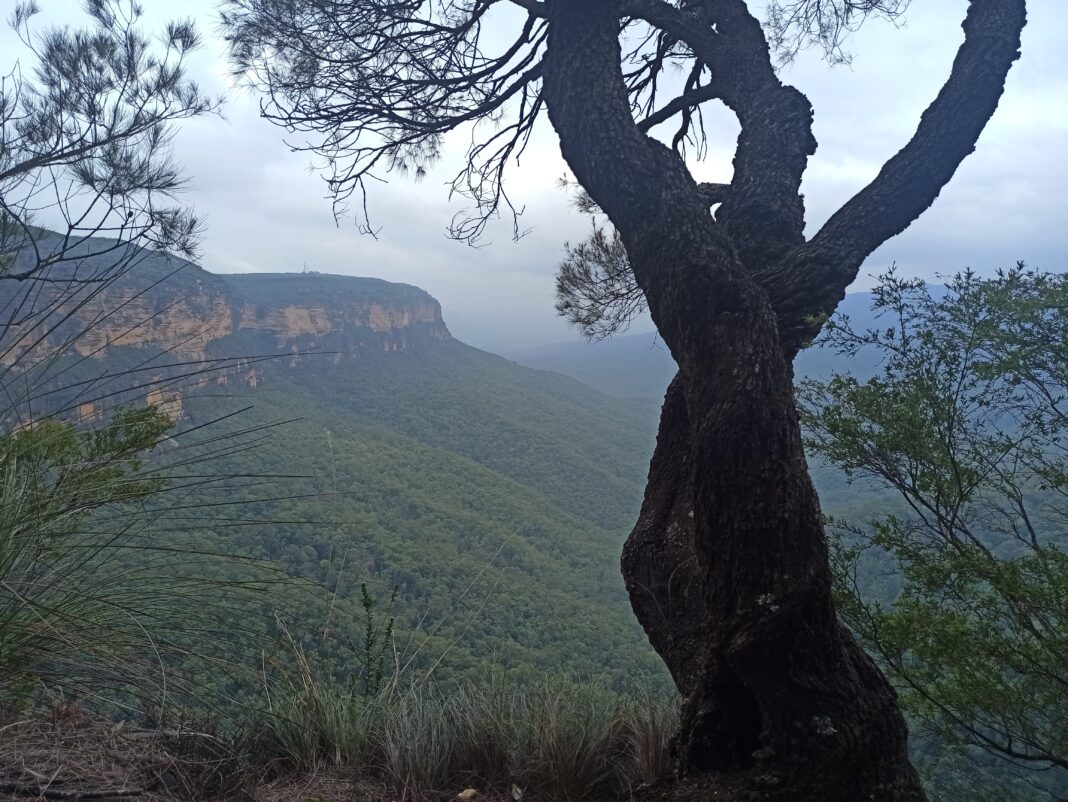 Australie Anthony Soares