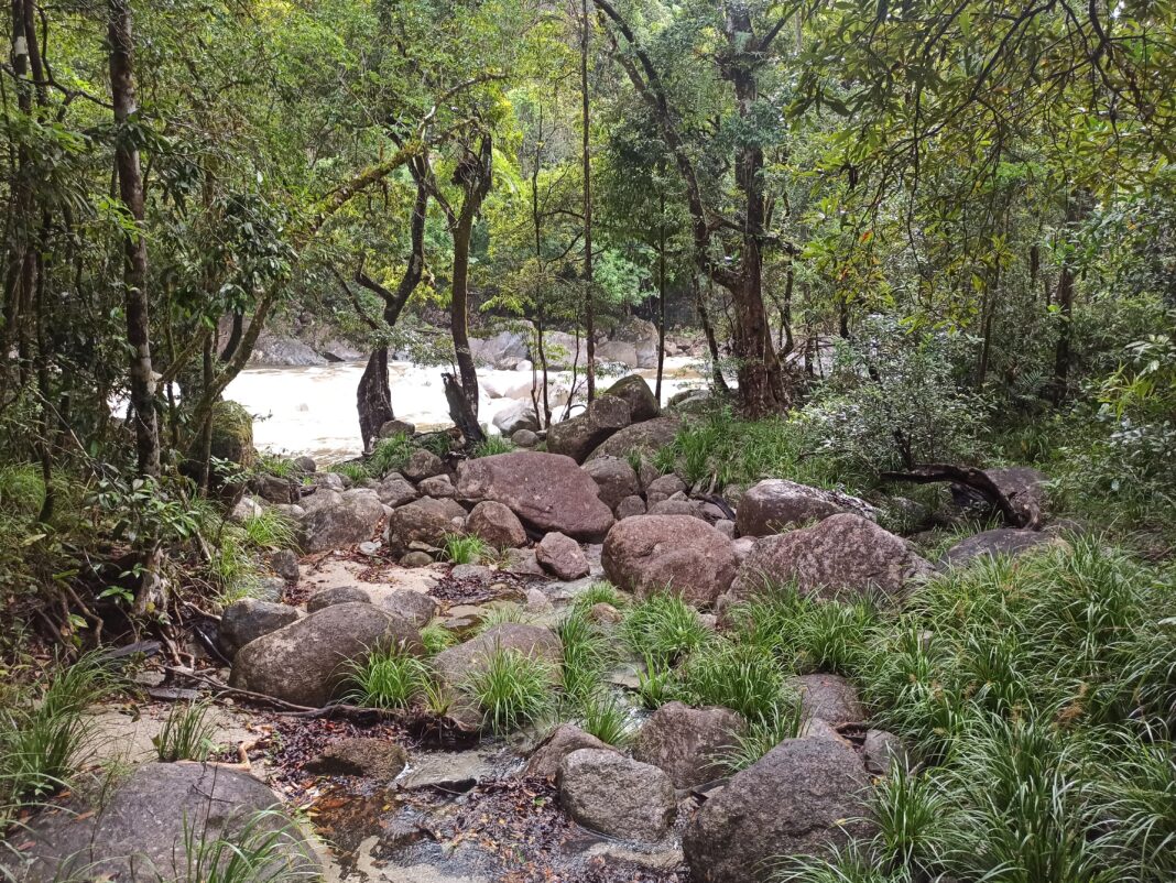 Animaux dangereux en Australie