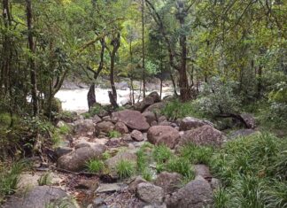 Rubrique. Au fil des voyages : Rencontre avec les véritables animaux dangereux d’Australie Animaux dangereux en Australie