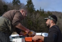 Vouglans. L’association de pêche prend le virage de la carpe et installe des frayères autour du lac désertique L'AAPPMA de Vouglans