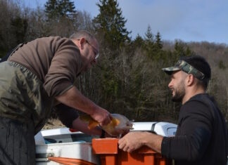 L'AAPPMA de Vouglans