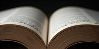 Rubrique. Grands mots, grands remèdes : Petits pois et gougnafier Dictionnaire Le Robert 2025