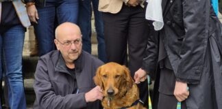 Lons-le-Saunier. Volt, un héros à quatre pattes pour apaiser les enfants