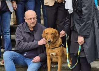 Lons-le-Saunier. Volt, un héros à quatre pattes pour apaiser les enfants