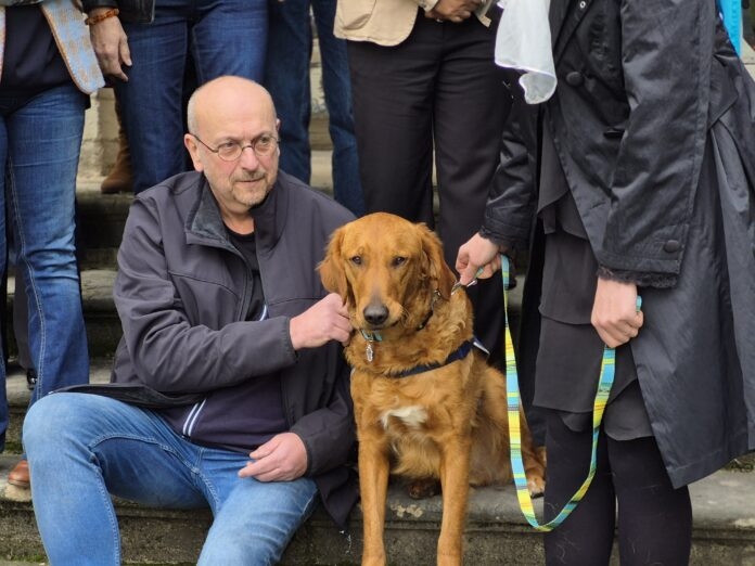 Volt chien de soutien émotionnel