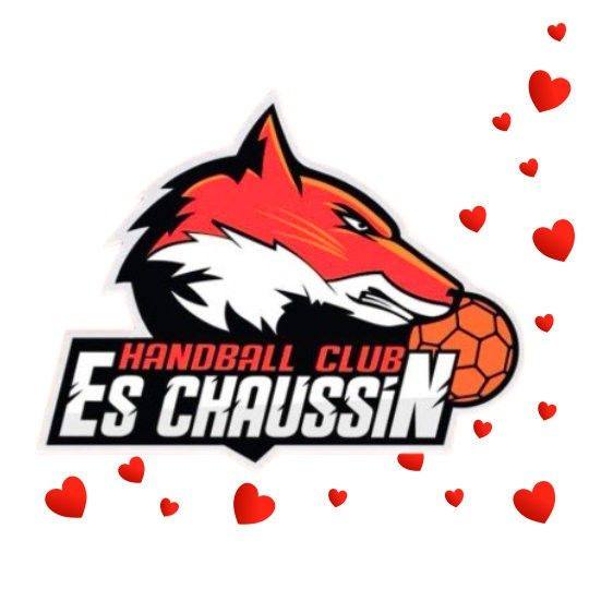 l’ES Chaussin Handball
