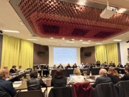 Dole. Cinq commissions établies pour piloter l’action municipale