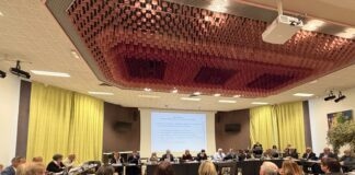 Dole. Cinq commissions établies pour piloter l’action municipale