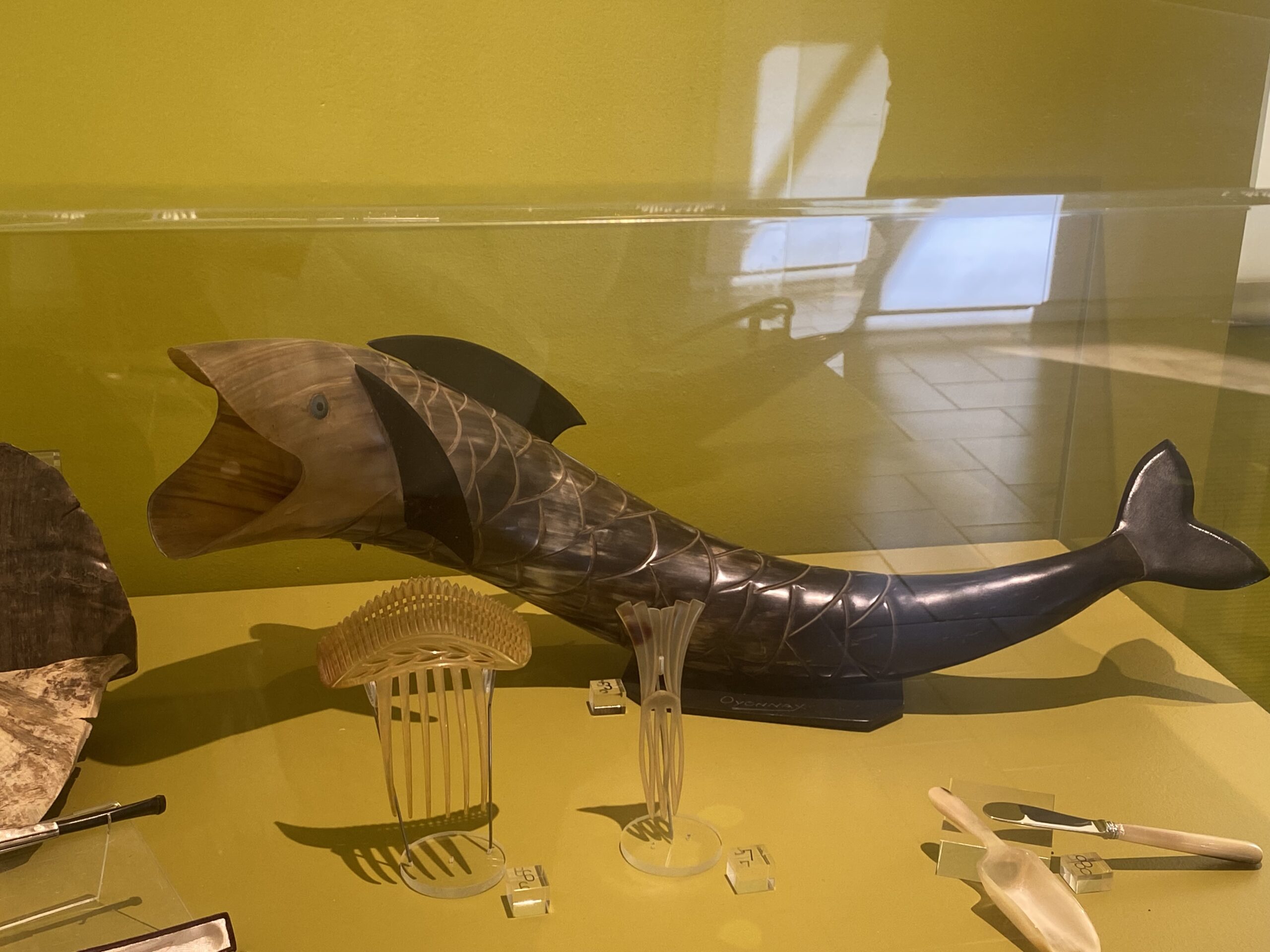Pièce en corne exposée au musée du peigne et de la plasturgie d