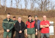 Cornod. 1 700 pins plantés pour faire renaître la forêt après l’incendie de 2022