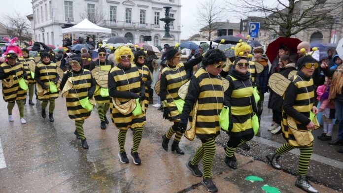 Le carnaval des Z’animos à Champagnole