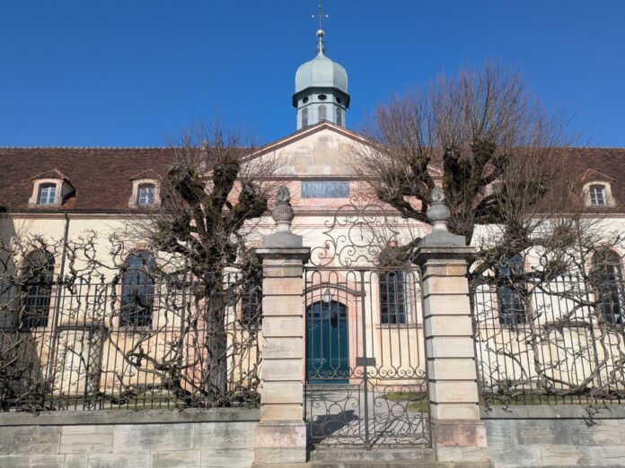 WhatsApp Image 2026-03-04 at 15.39.29