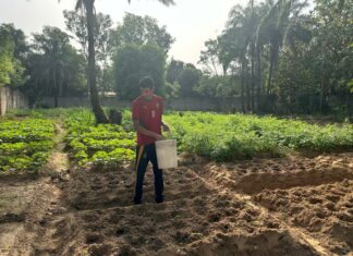 Himed jeune jurassien au Togo