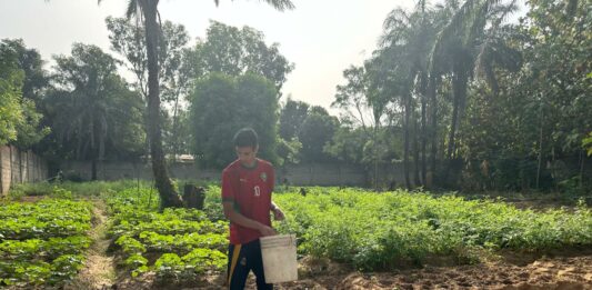 Himed jeune jurassien au Togo