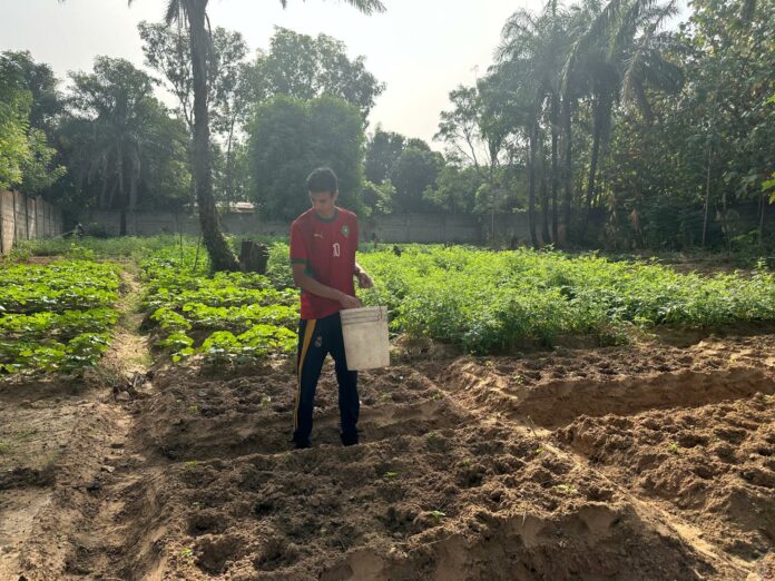 Himed jeune jurassien au Togo