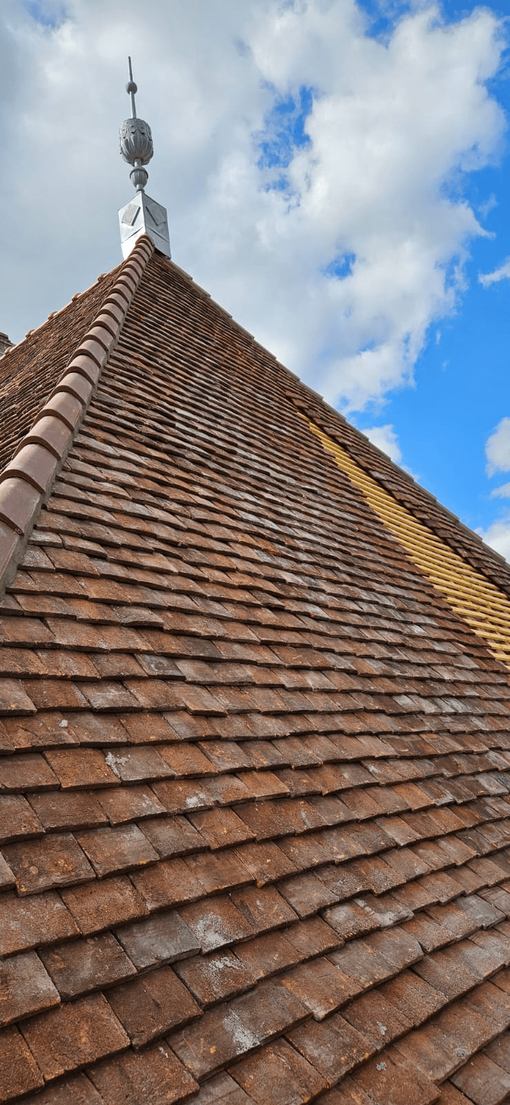Charpente en bois avec structures industrielles et éléments de couverture pour rénovation locale