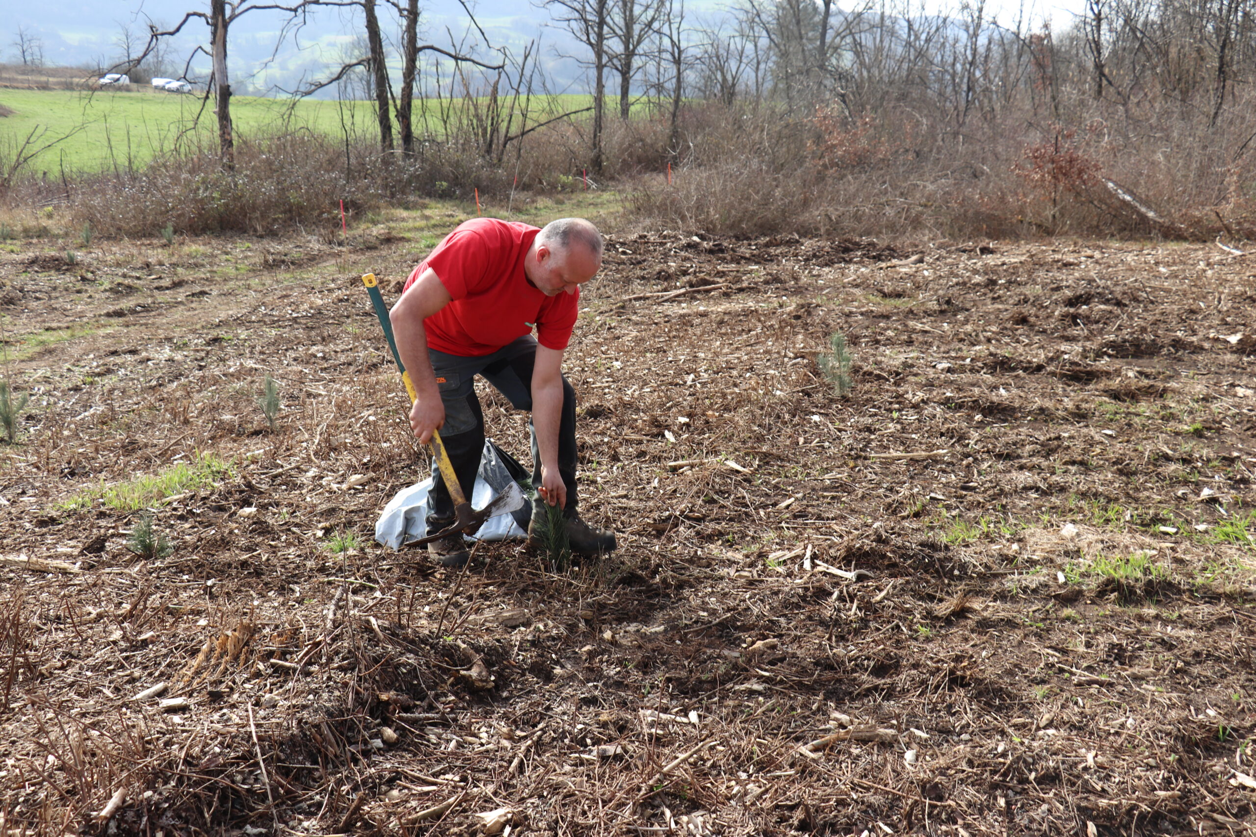 Ouvriers forestiers François Barsu et Richard Nicolas effectuant le reboisement après incendie