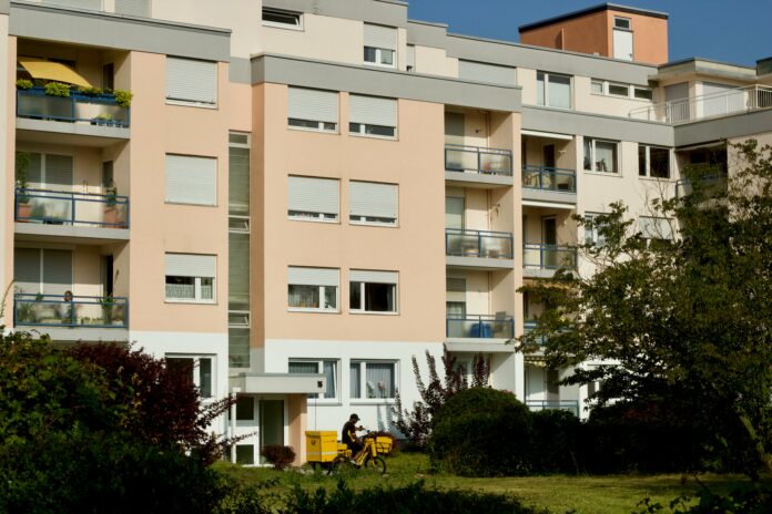 pexels-peter-dyllong-2158803154-36403915