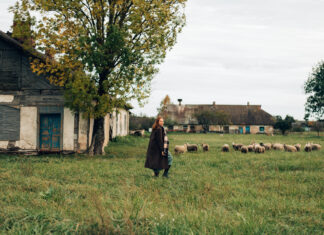 bergère dans les champs