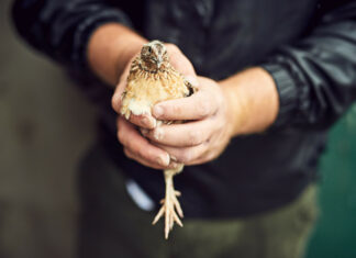 faits divers anciens Jura