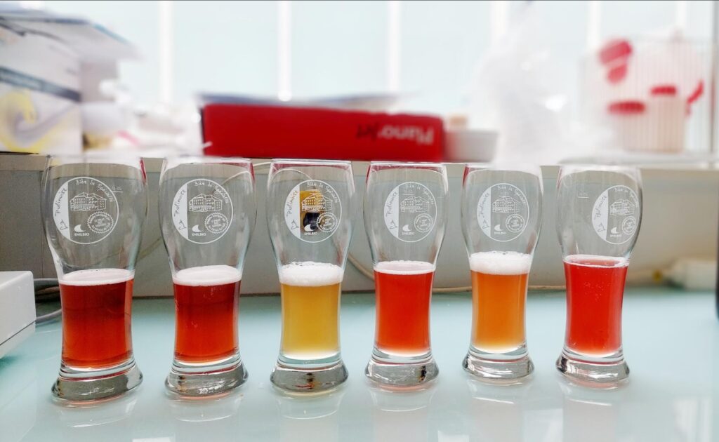 Verres de bière au sorgho Poligny alignés sur une table.