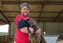 visites de fermes jurassiennes