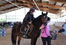 Cheval pour tous Rahon