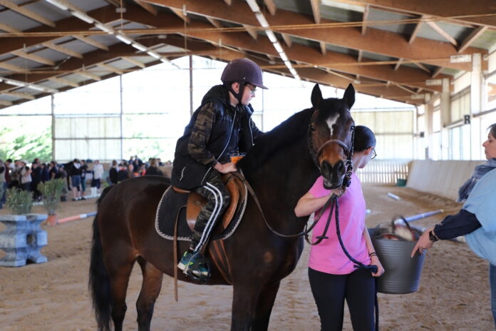 Cheval pour tous Rahon