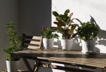 aménager petit jardin balcon