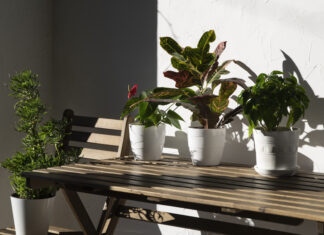 aménager petit jardin balcon