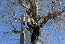 Jura. Dès 6,90€ par mois et par utilisateur, Altinea gère votre informatique d’entreprise gestion informatique entreprise Jura Altinea