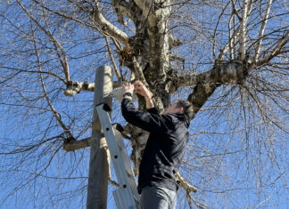 gestion informatique entreprise Jura Altinea