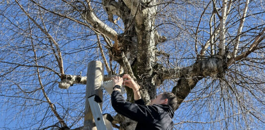 Jura. Dès 6,90€ par mois et par utilisateur, Altinea gère votre informatique d’entreprise gestion informatique entreprise Jura Altinea