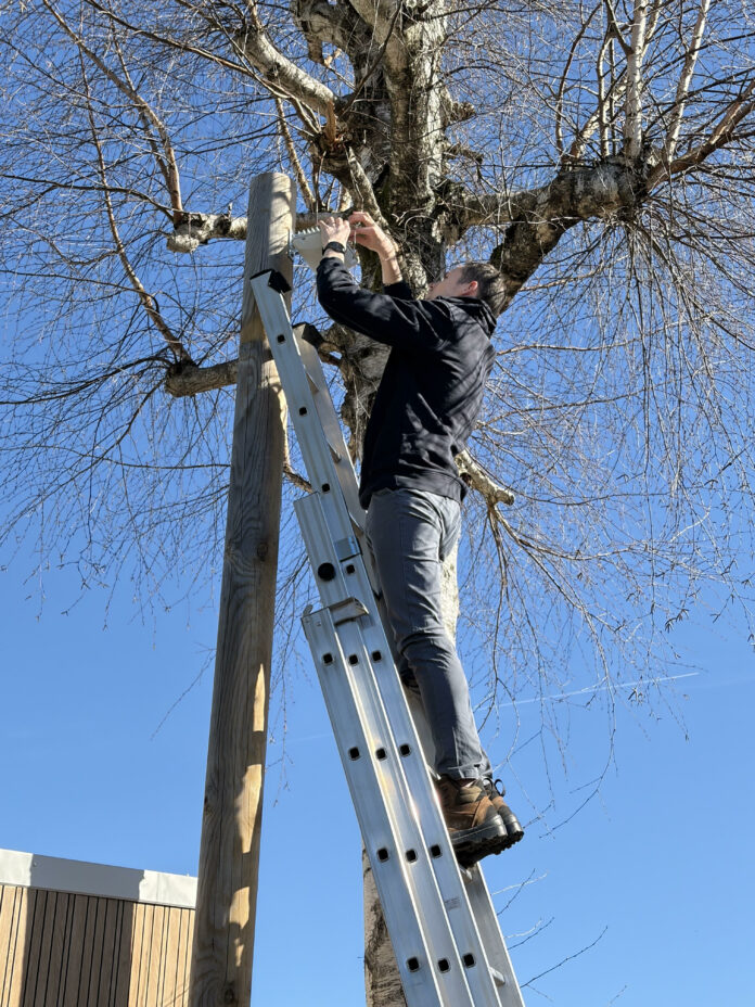 gestion informatique entreprise Jura Altinea gestion informatique entreprise Jura Altinea