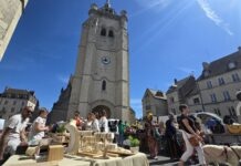 Plus beau marché France Dole Concours TF1