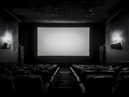 Cinéma Projection Petite Montagne