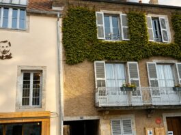 Arbois. Un portrait contemporain de Louis Pasteur sur sa maison Maison Louis Pasteur Arbois