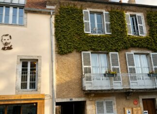 Arbois. Un portrait contemporain de Louis Pasteur sur sa maison Maison Louis Pasteur Arbois