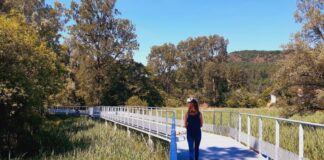 voie douce Lange arbres