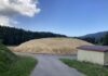Prémanon. Le snowfarming, cette technique qui prépare déjà l’hiver Stockage de neige à Prémanon dans le Jura