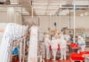 Champagnole. L’abattoir investit pour franchir un nouveau cap Abattoir Champagnole Nozeroy Jura