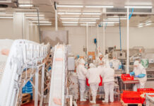 Champagnole. L’abattoir investit pour franchir un nouveau cap Abattoir Champagnole Nozeroy Jura