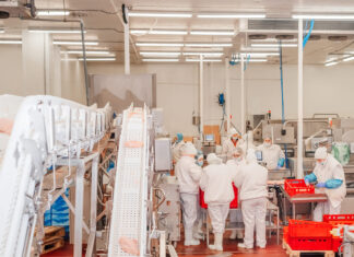 Champagnole. L’abattoir investit pour franchir un nouveau cap Abattoir Champagnole Nozeroy Jura
