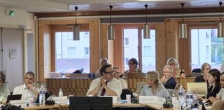 mécénat rouget lisle débat