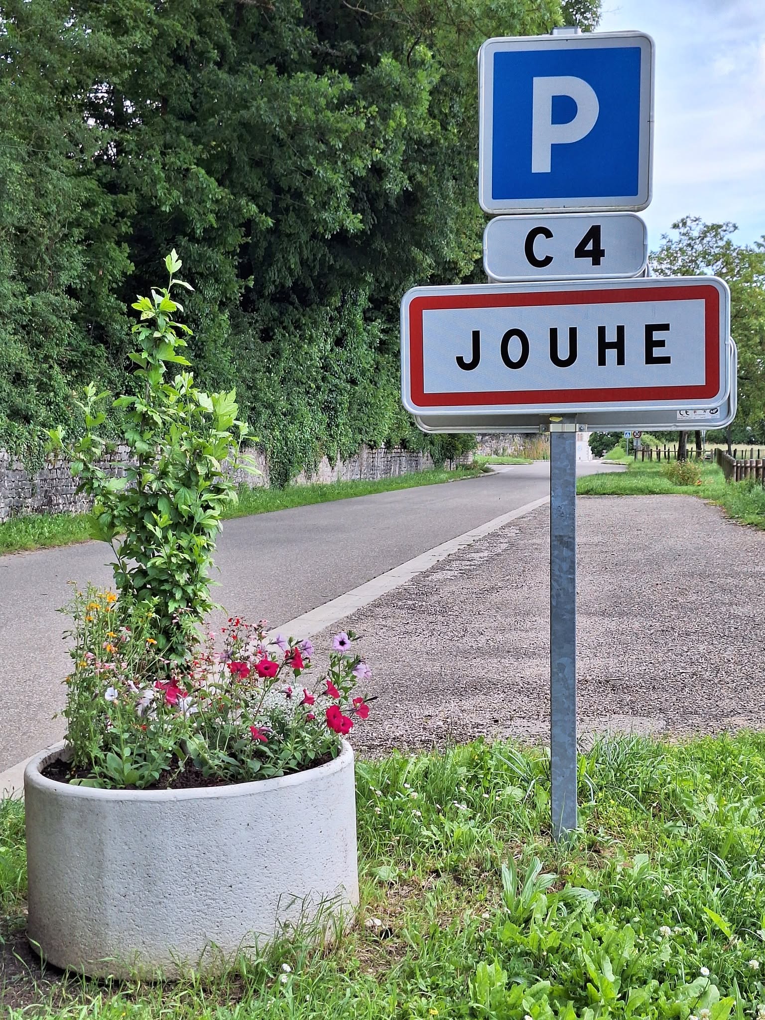 Groupe de bénévoles posant devant décorations florales