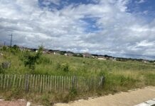 Tavaux. Un parc urbain au cœur du futur quartier de la Vuillardière