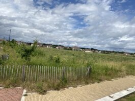 Tavaux. Un parc urbain au cœur du futur quartier de la Vuillardière Jean-Michel Daubigney Tavaux futur parc urbain