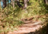 Jura-Bresse. Découvrez la richesse naturelle et la faune du domaine de Louvarel Balade étang Louvarel Jura