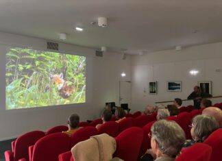 Beaufort-Orbagna. Une immersion vivante dans la faune jurassienne